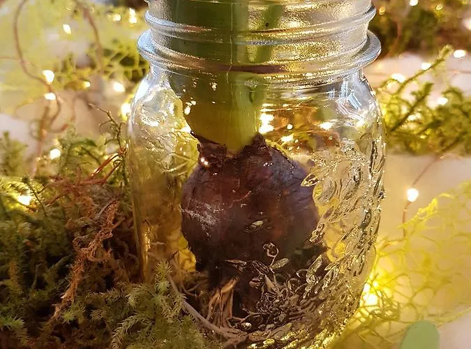 Garni Posta 호텔 포르노 디 졸도